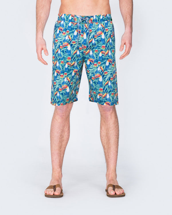 2t Tall Parrot Print Swim Shorts (blue)