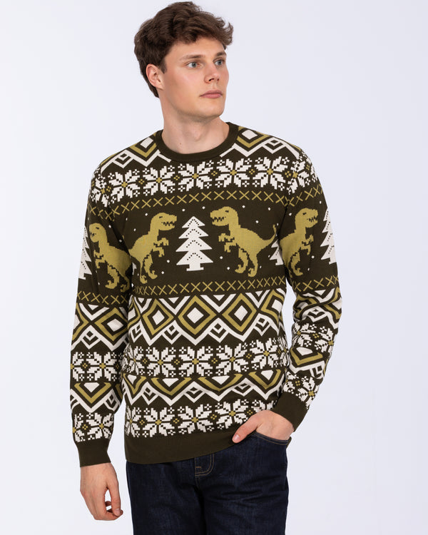 2t Tall Fairisle Christmas Jumper (green novelty)