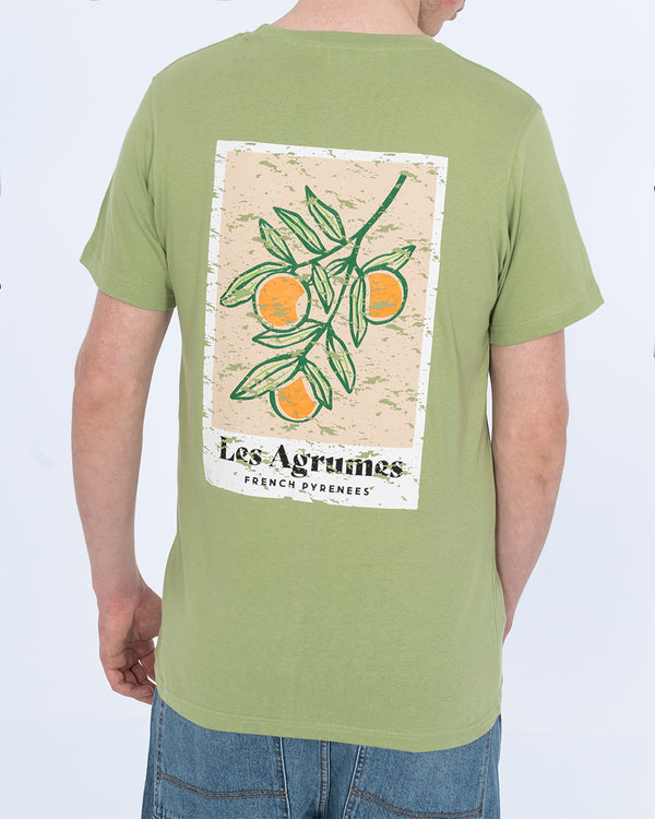 2t Tall Les Agrumes T-Shirt (green)