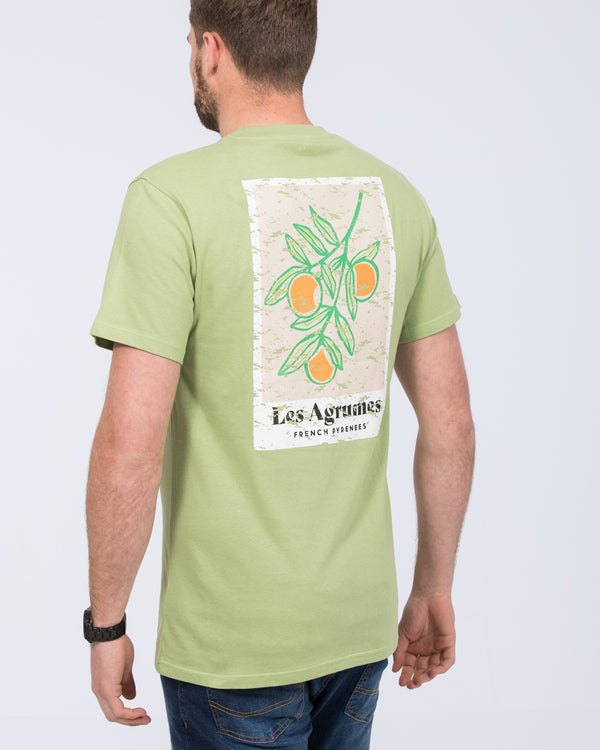 2t Tall Les Agrumes T-Shirt (green)