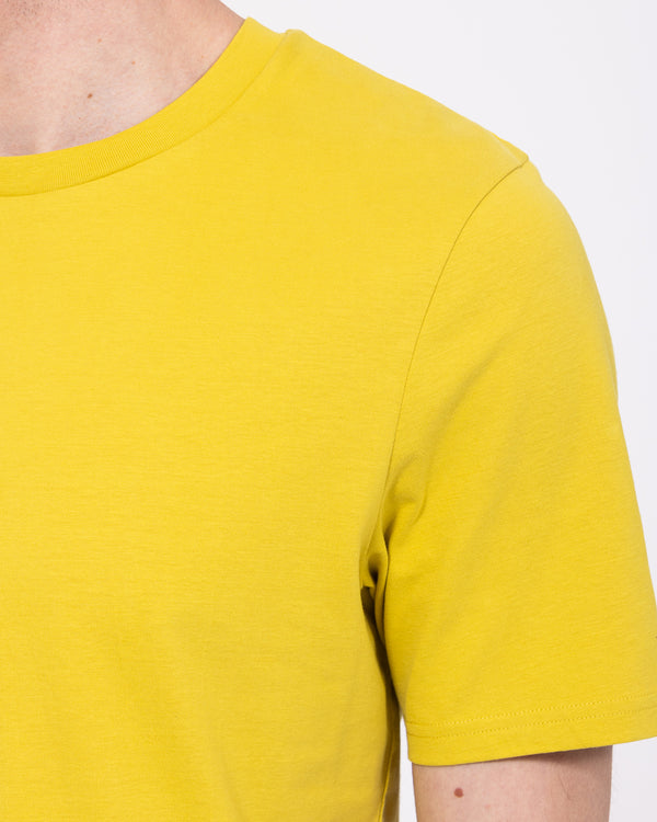 2t Liam Tall Regular Fit T-Shirt (chartreuse)