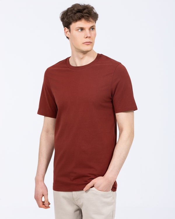 2t Liam Tall Regular Fit T-Shirt (rust)