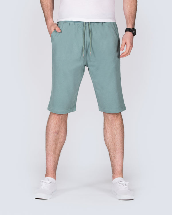 2t Tall Jakob Sweat Shorts (sage)