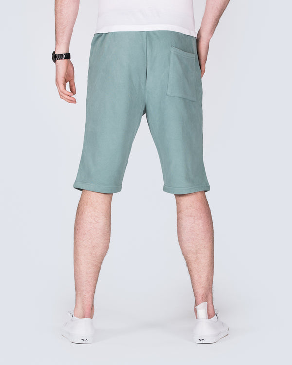 2t Tall Jakob Sweat Shorts (sage)