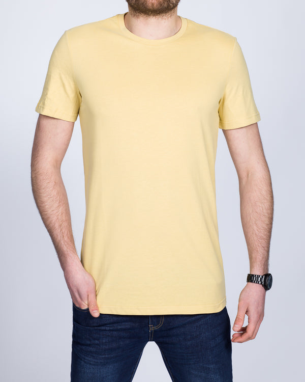 2t Tall T-Shirt (yellow)